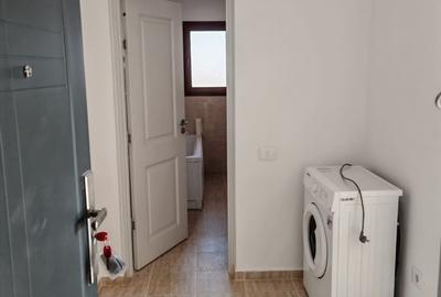 Casă cu 2 camere în Vișan - 4