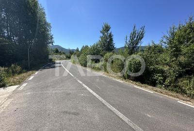 Comision 0% Teren extravilan cu utilitati 2000 mp pe Valea Sebesului - 3