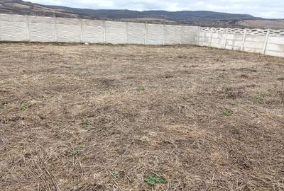 Spațiu comercial, în Băcia - 4