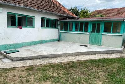 Casa de vanzare uileacu de beius - 5