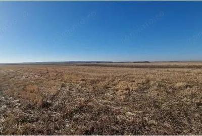 Teren de 4800 mp, în Grădinari - 1