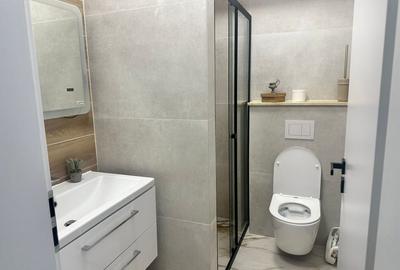Apartament cu 3 camere decomandat în Viforâta - 3