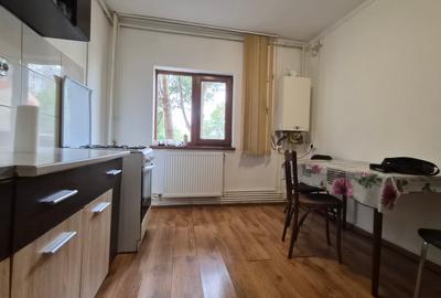FALEZA NORD - Ap 2 camere, parter, mobilat, centrala gaze (termen lung) - 16