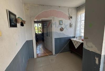 Casă individuală cu 3 camere cu Teren 2241 Mp în Sânnicolau Român - 4