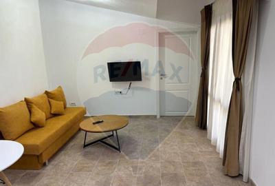 Apartament 2 camere cu terasa Gara de nord - 11