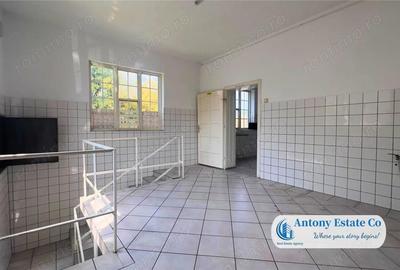Spațiu comercial, de 100 mp, în Rogerius - 11