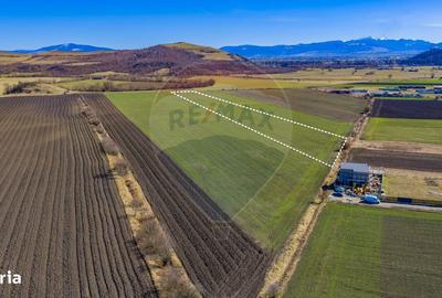 Spațiu comercial, în Bod - 7