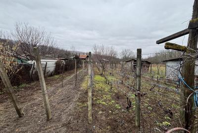 Casă cu 3 camere în Ceptura - 5