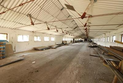 Spațiu comercial, de 729 mp, în Miroslava - 2