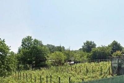 Casa si teren cota parte 3/16, Vladiceni, ID: R2764937 - 10