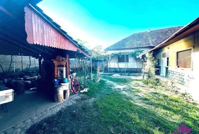 Casa 6 camere Finis - 3