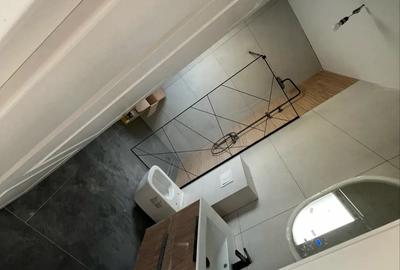 Casă cu 5 camere în Dumbrăvița - 1