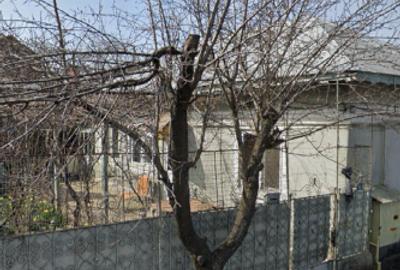 Teren parcerabil Bariera Valcii Proprietar - 3