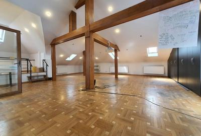 Vila 17 camere Rosetti - 9