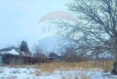 Spațiu comercial, în Letea Veche - 4