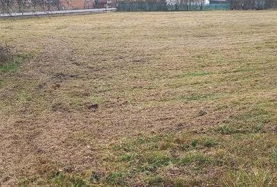 Casă cu Teren 6400 Mp în Zam