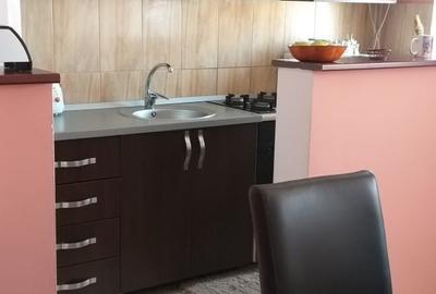 Apartament cu 2 camere semidecomandat, mobilat în Aeroport