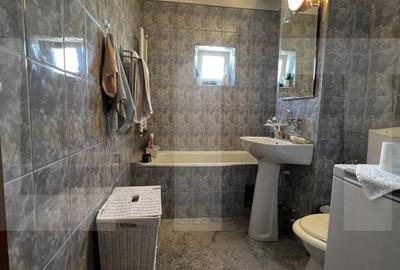 Apartament cu o camera Buziasului - 13