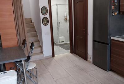 Vanzare proprietate cu doua case si intrari separate curte Giulesti - 9