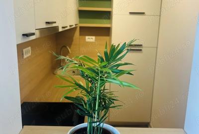 De inchiriat Apartament modern cu 1 camera pe Take Ionescu De inchiriat Apartament modern cu 1 camera pe Take Ionescu - 4