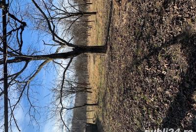 Casă cu 3 camere în Novaci - 4