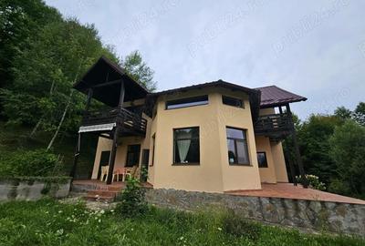 Casă cu 5 camere cu Teren 6842 Mp în Brădetu - 8