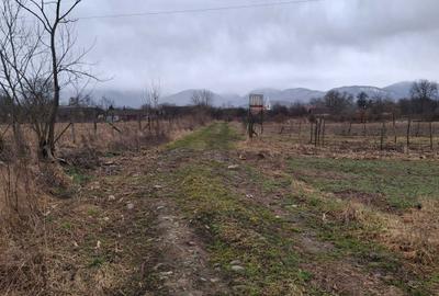 Spațiu comercial, în Porumbacu de Sus - 4