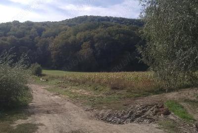 Teren de 5600 mp, în Nord - 2