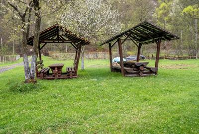 Hotel/Pensiune, de 719 mp, în Scrind-Frăsinet - 9