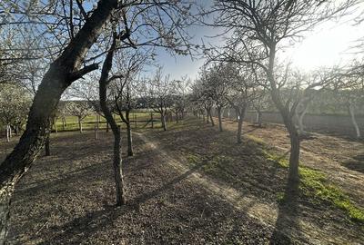 Casă cu 4 camere în Exterior Vest