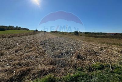 TEREN DE VANZARE  - Satu Mare  zona Lucian Blaga - 2