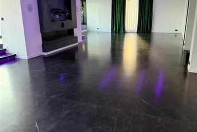 Penthouse cu 7 camere decomandat în Tei - 19