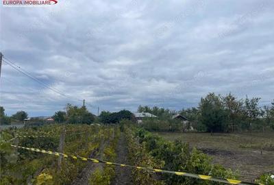 Teren de vanzare in localitatea Iazurile judetul Tulcea - 8