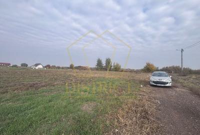 COM 0% Teren Intravilan Mosnita Veche COM 0% Teren Intravilan Mosnita Veche - 3