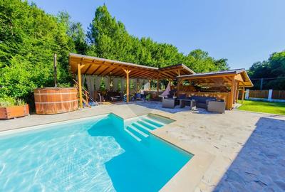 Casa de vis in Loc. Intrerauri - 2