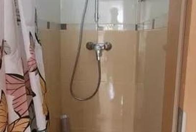 Garsoniera decomandata la casa cu curte, 48 mp, Centrul Istoric - 6