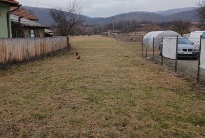 Spațiu comercial, în Vale - 5