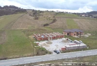 Teren Construcții intravilan de 2655 mp, în Dobrești - 2