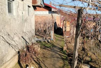 Casă cu 6 camere în Măldăeni - 6