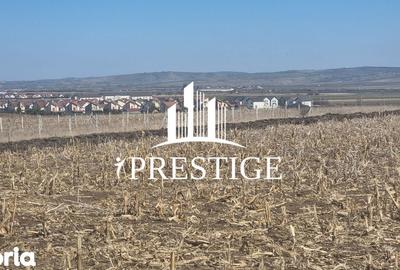 Teren de 417 mp, în Câineni - 7