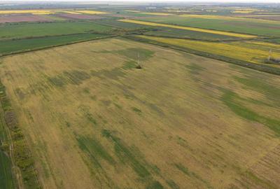 Teren agricol extravilan de 44700 mp, în Exterior Vest - 18