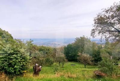 Teren de 1710 mp, în Feleacu