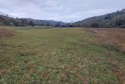 Teren intravilan si extravilan in Bucovina , Salatruc , Vama , Suceava - 3