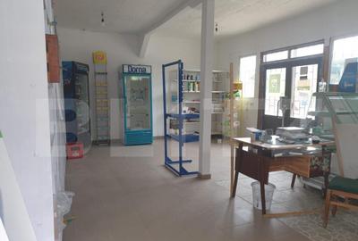 Spațiu comercial, de 40 mp, în Central - 3