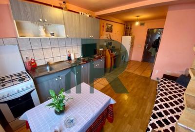 Apartament cu 2 camere la mansarda in Vasile Aaron - 3