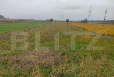 Teren extravilan 2600 mp, Calea Cernauti, Radauti - 6