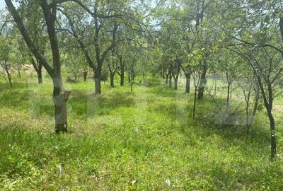 Teren intravilan 2774 mp, zona Dobrogeanu Gherea - 3