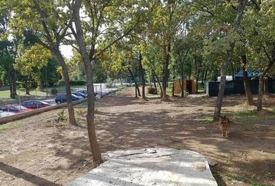 Teren de 950 mp, în Central