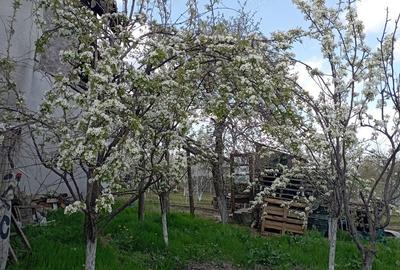 Casa de vanzare Casa de vanzare - 3