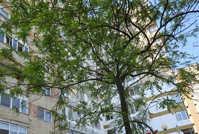 Apartament cu 4 camere decomandat în Micro 16 - 9